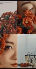 杨蓉气质时髦连衣裙套装杂志写真图片