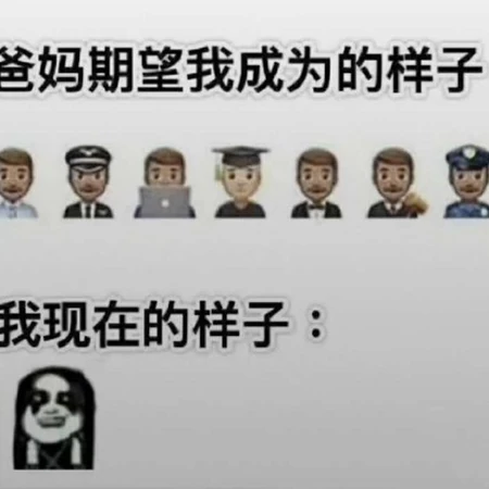 搞笑内涵图片:妈妈希望我成为的样子