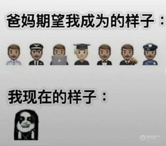 搞笑内涵图片:妈妈希望我成为的样子