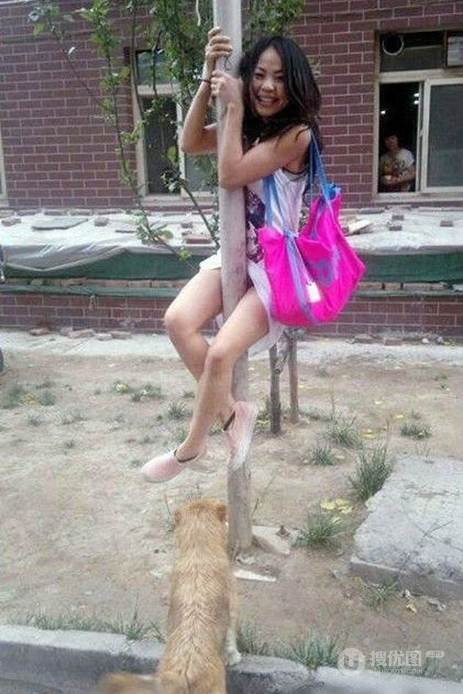 怕狗的女生直接就上树了搞笑图片
