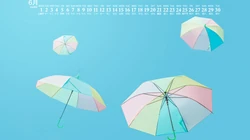 给这个夏日来点清凉的小清新壁纸吧，精选2020年6月日历壁纸图片