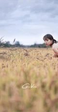成熟稻田里的造型身小碎花裙女生佳人唯美艺术摄影图片