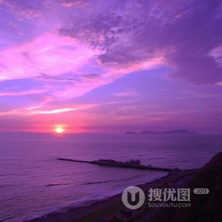 小清新的植物花卉类头像，是女人最适合的微信头像
