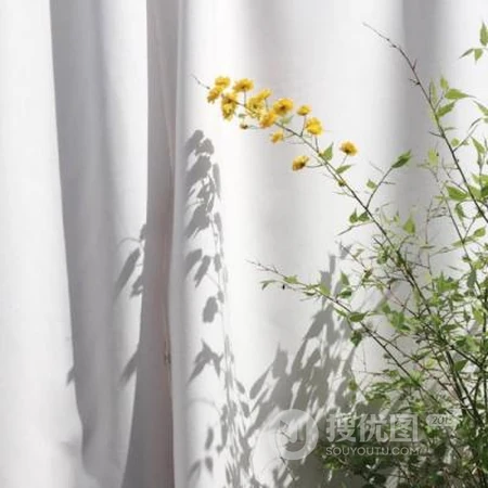 小清新的植物花卉类头像，是女人最适合的微信头像