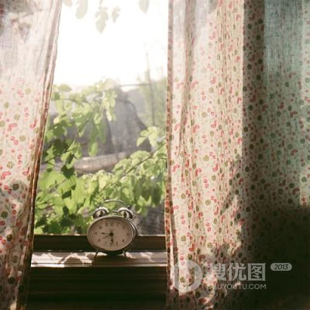 小清新的植物花卉类头像，是女人最适合的微信头像