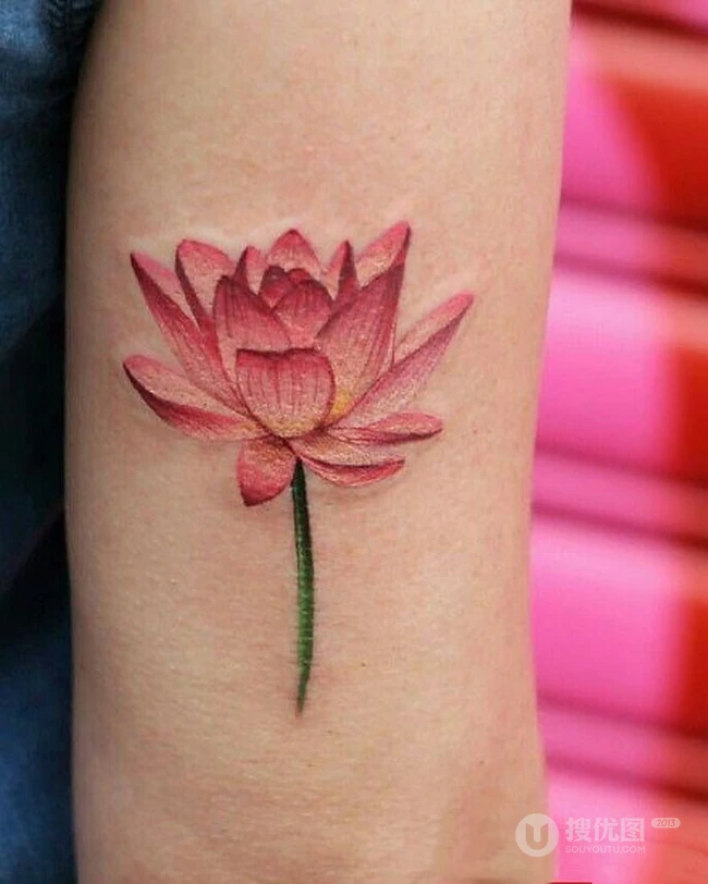 荷花纹身图案，纹在女生身体各部位的荷花纹身图案图片 第5张