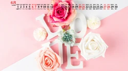 浪漫唯美的粉色玫瑰花，2020年6月花卉花朵系列日历壁纸图片