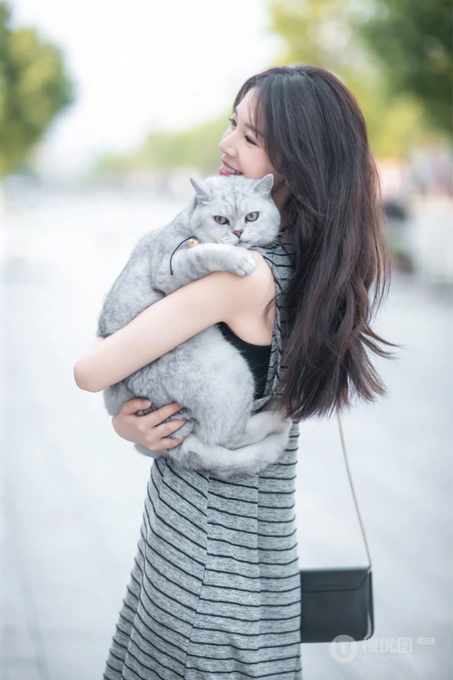 陈瑶抱着一只大肥猫上街唯美写真图片