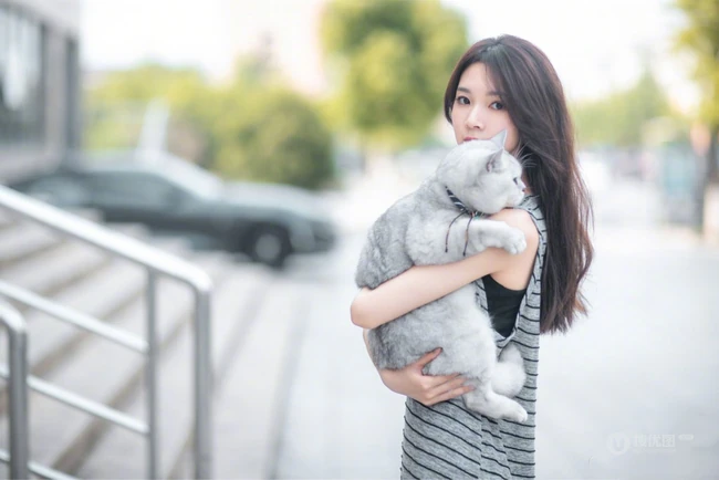 陈瑶抱着一只大肥猫上街唯美写真图片