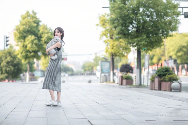 陈瑶抱着一只大肥猫上街唯美写真图片