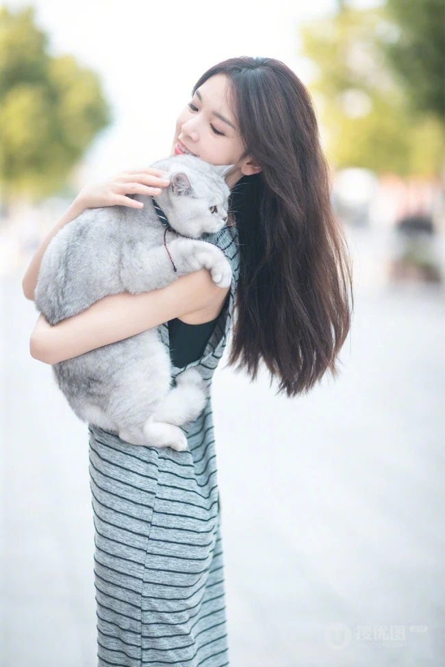 陈瑶抱着一只大肥猫上街唯美写真图片