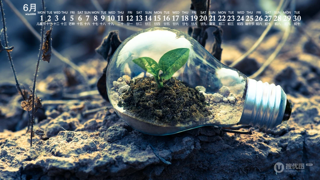 刚冒出土的植物嫩芽，2020年6月绿色护眼植物系日历壁纸图片