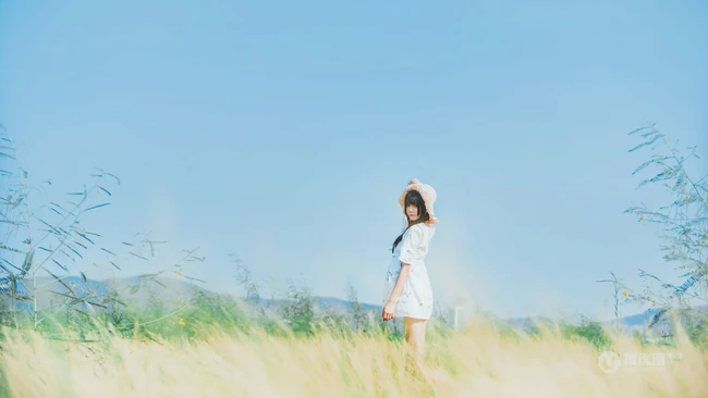 田野上的漂亮浅粉双麻花辫女生桜桃喵唯美清新白裙写真图片集