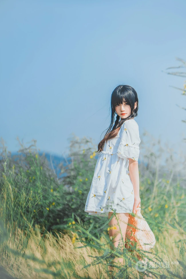 田野上的漂亮浅粉双麻花辫女生桜桃喵唯美清新白裙写真图片集