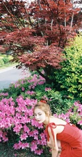 丸子头网红女生甜仇肩带红衣花丛中唯美摄影写真图片