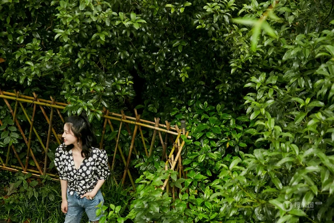 杨子姗唯美森系户外逆光写真图片