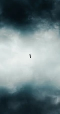 天空中飞过的老鹰等云彩风景手机壁纸