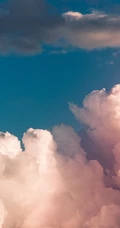 天空中飞过的老鹰等云彩风景手机壁纸
