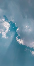 天空中飞过的老鹰等云彩风景手机壁纸