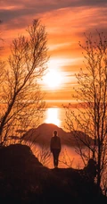 唯美的橙色夕阳手机壁纸图片