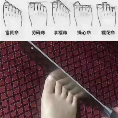 搞笑算命图片；这辈子你是什么命？