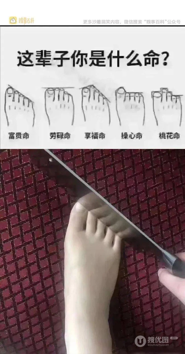 搞笑算命图片；这辈子你是什么命？