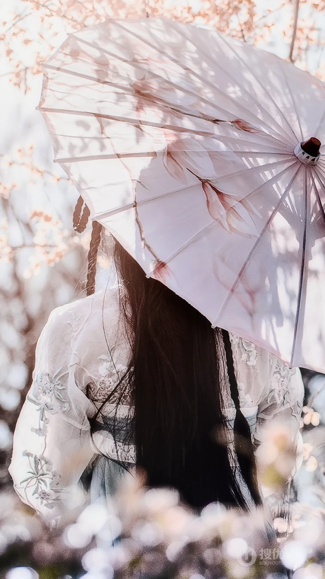 樱花树下打着油纸伞的唯美古风美女的背景等手机壁纸