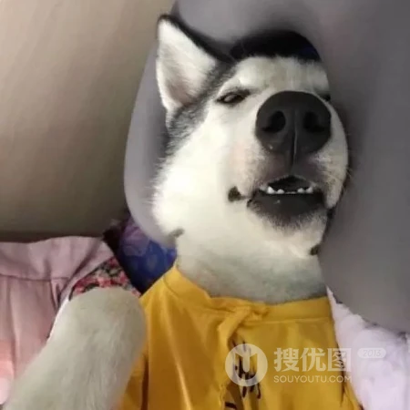 一眼就很喜欢，男女通用的搞笑个性可爱等杂七杂八头像图片