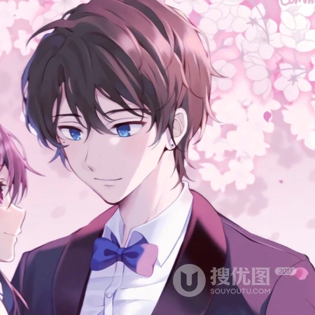 Q版创意的各类型动漫男女人物裁剪一人一半情侣头像