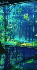 一眼就很喜欢的二次元超美插画场景美图
