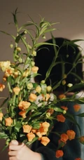宫灯百合，难得一见的奇异花卉宫灯百合摄影美图