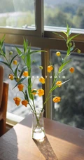 宫灯百合，难得一见的奇异花卉宫灯百合摄影美图