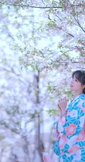 樱花树下的和服少女清新唯美高清摄影艺术写真大图