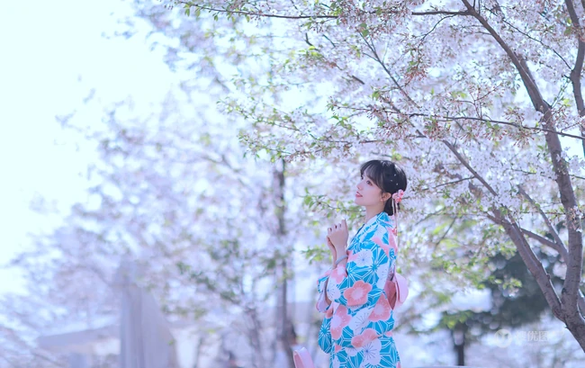 樱花树下的和服少女清新唯美高清摄影艺术写真大图
