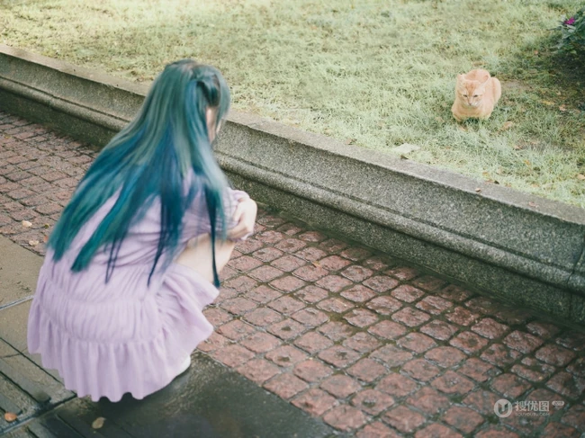 程潇个性紫衣白裙搭配一头蓝发街边逗猫美拍写真