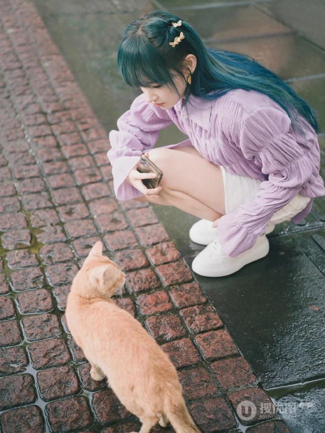 程潇个性紫衣白裙搭配一头蓝发街边逗猫美拍写真