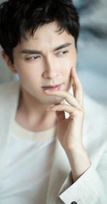 高伟光化身暖男手拿玫瑰朦胧感十足唯美俊朗写真