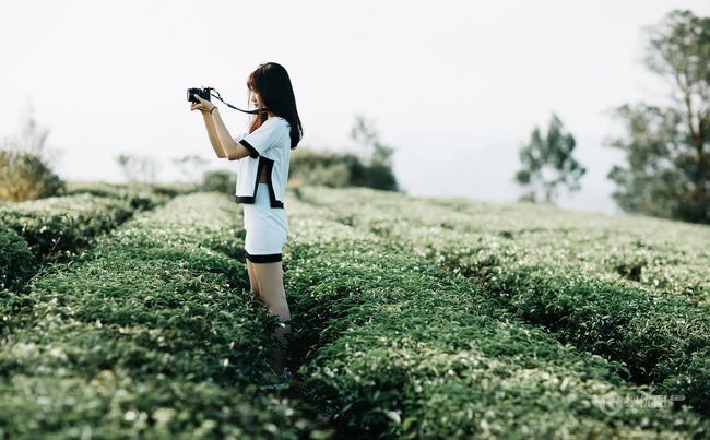 茶山上背着相机的美丽白衣短裙女生唯美户外摄影美图