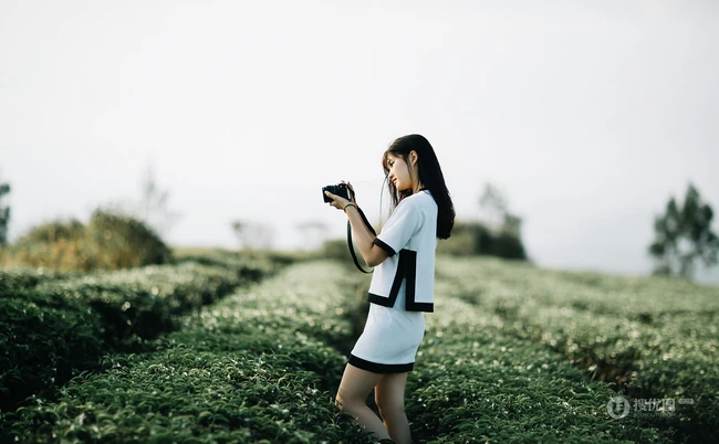 茶山上背着相机的美丽白衣短裙女生唯美户外摄影美图