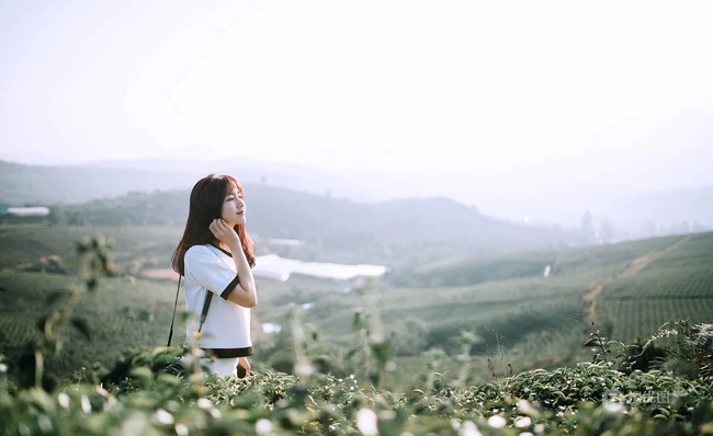 茶山上背着相机的美丽白衣短裙女生唯美户外摄影美图