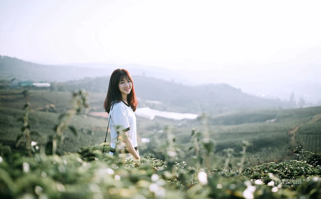 茶山上背着相机的美丽白衣短裙女生唯美户外摄影美图