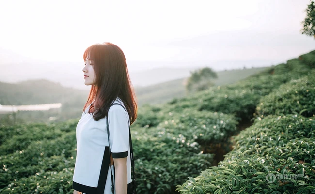 茶山上背着相机的美丽白衣短裙女生唯美户外摄影美图