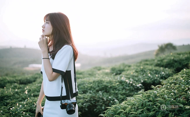 茶山上背着相机的美丽白衣短裙女生唯美户外摄影美图