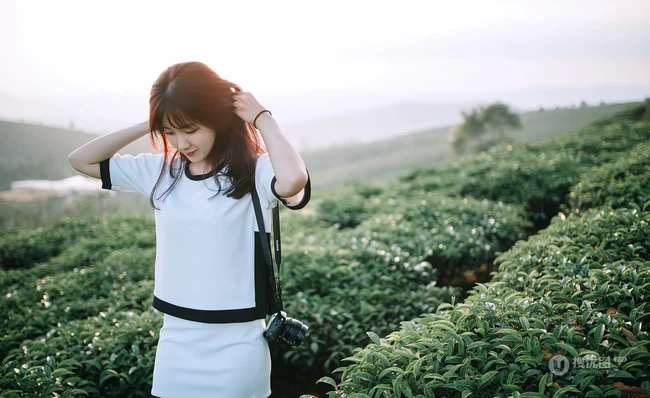 茶山上背着相机的美丽白衣短裙女生唯美户外摄影美图
