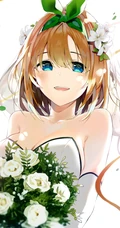 穿着婚纱，新娘装的二次动漫女生浪漫唯美图片集