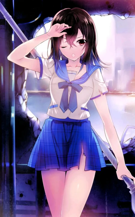 动画作品《噬血狂袭》人物女主角姬冬雪菜精选制服装图集