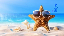 清凉护眼海边的潮流海星创意大暑节气桌面壁纸