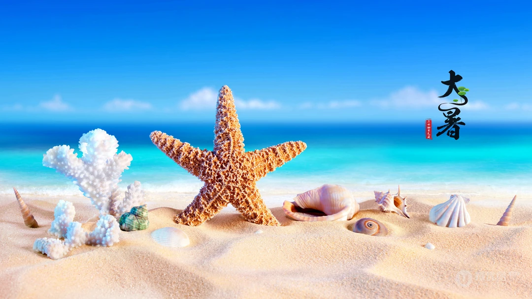 清凉护眼海边的潮流海星创意大暑节气桌面壁纸