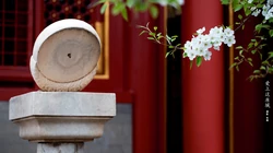 故宫，紫禁城，城墙根，的那些唯美桃花，小鹿桌面壁纸图片