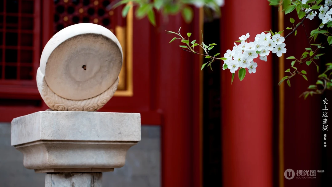 故宫，紫禁城，城墙根，的那些唯美桃花，小鹿桌面壁纸图片